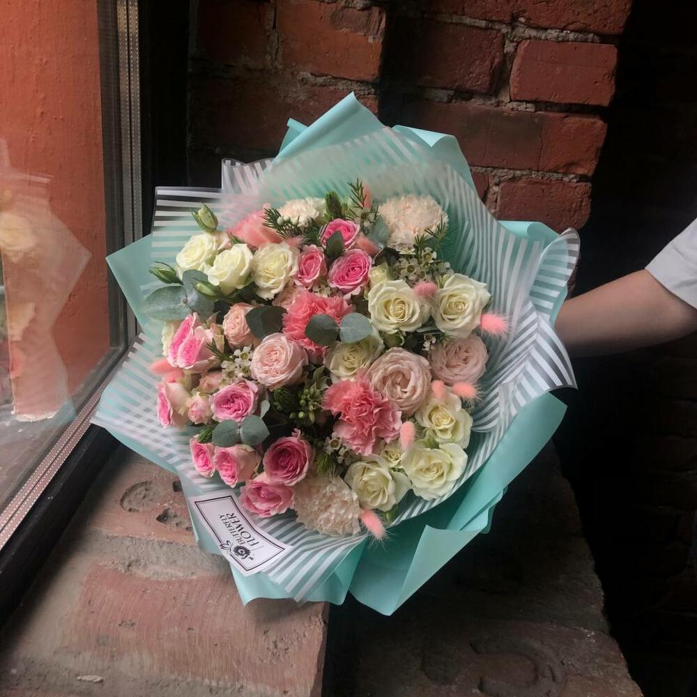 эвкалипта эвкалипта