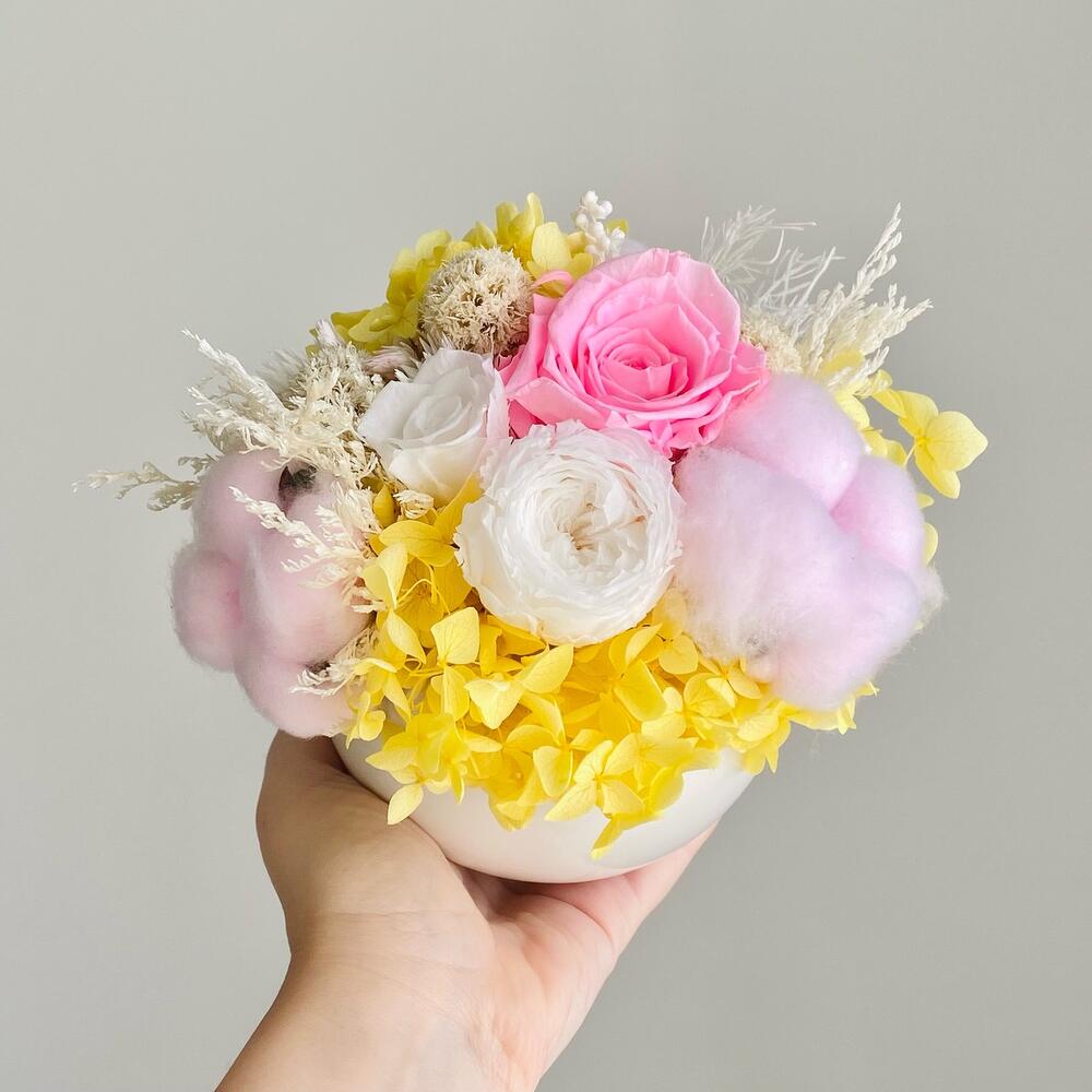 роз и хлопка роз и хлопка