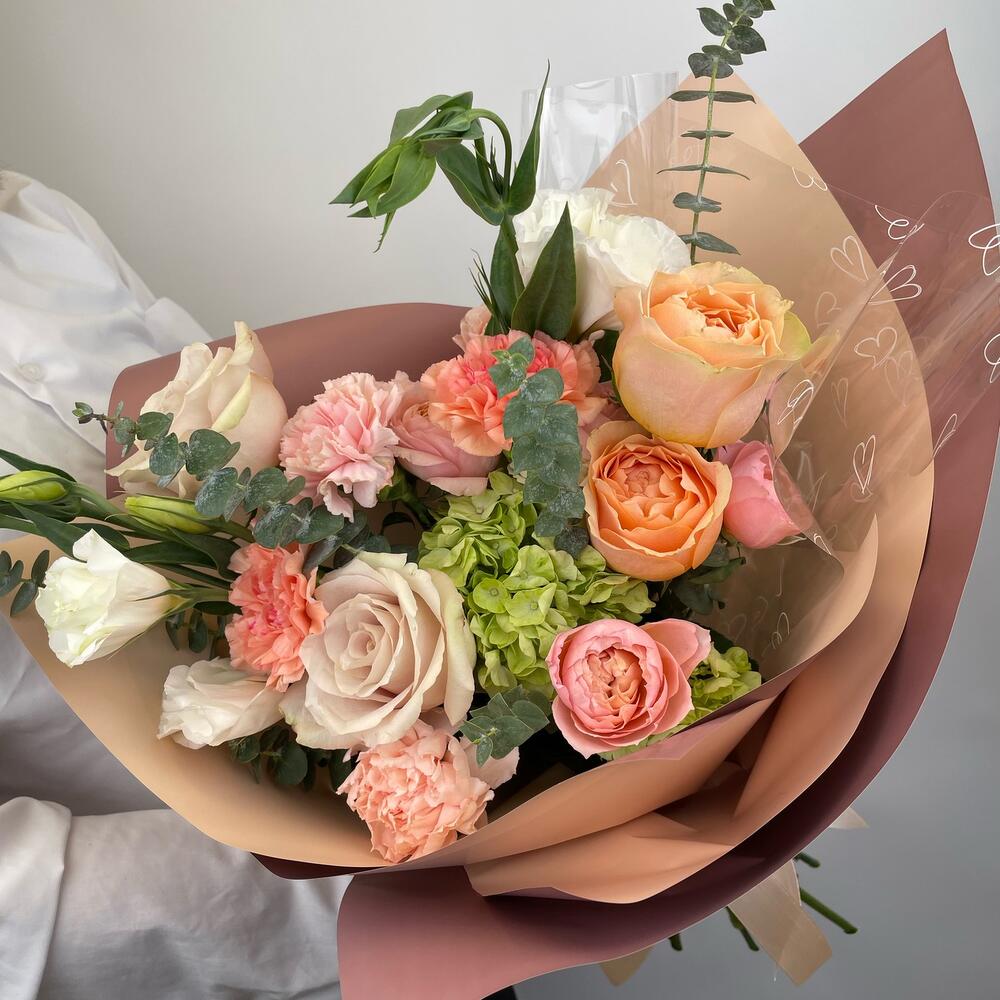 гортензия гортензия